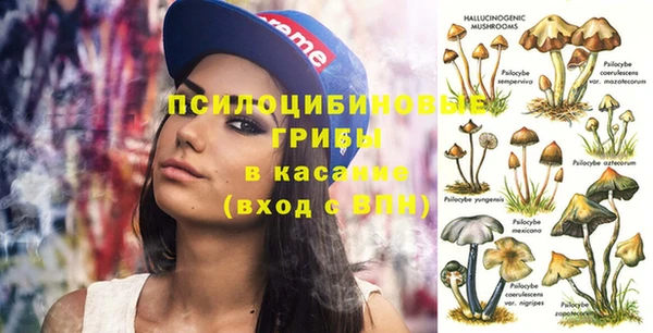 меф Гусев