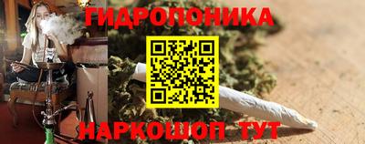 ГАЛЛЮЦИНОГЕННЫЕ ГРИБЫ Новозыбков