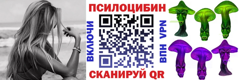 Псилоцибиновые грибы мицелий  купить закладку  Ярославль 