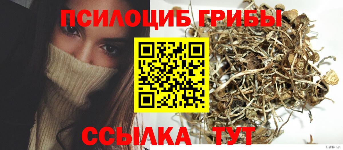 Галлюциногенные грибы мухоморы  Вход с VPN  Ярославль 
